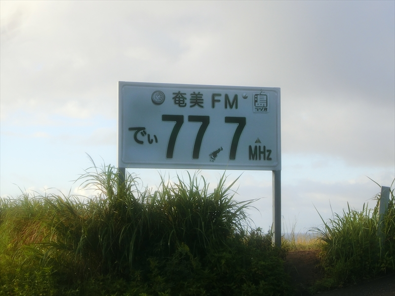 CIMG3892_R