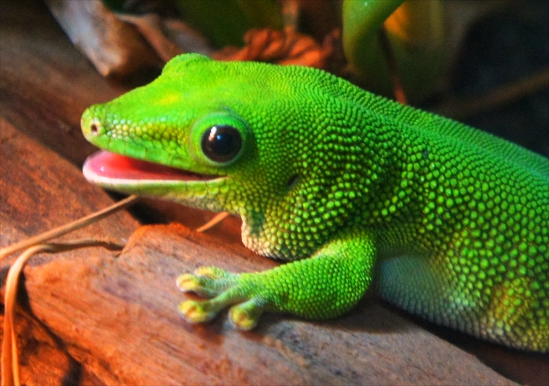 DSC01412_R