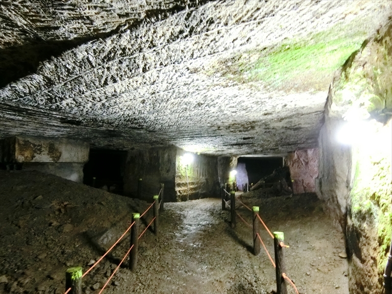 CIMG3124_R