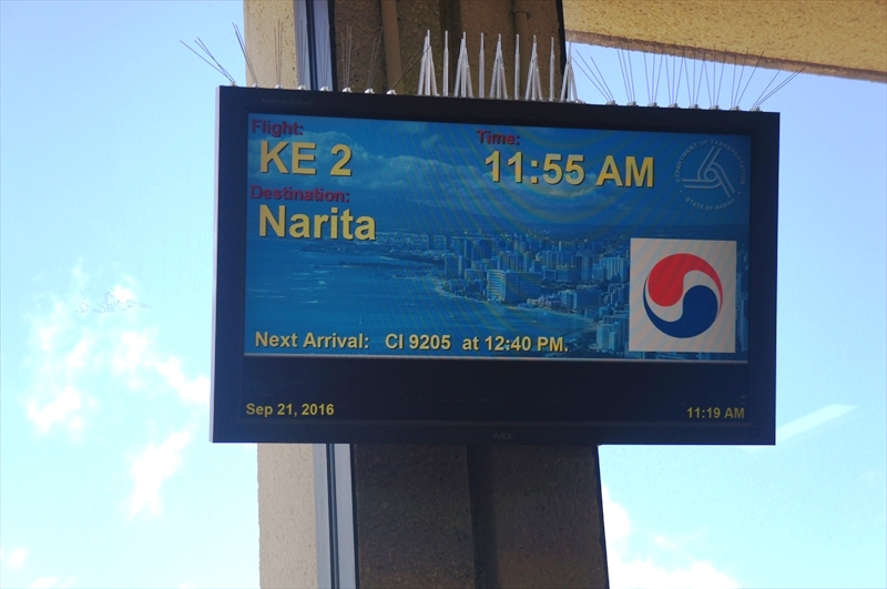 DSC00939_R