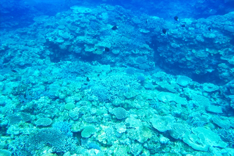 R0017048_R