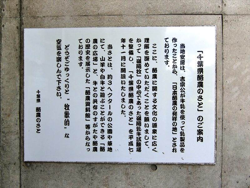 CIMG0736_R