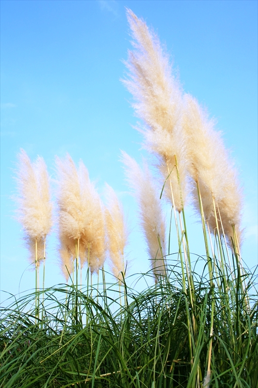 DSC01092_R