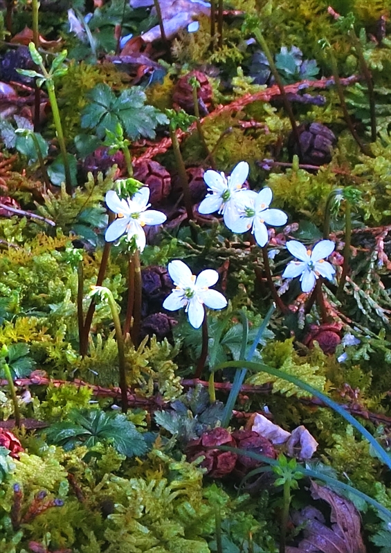 CIMG6047_R