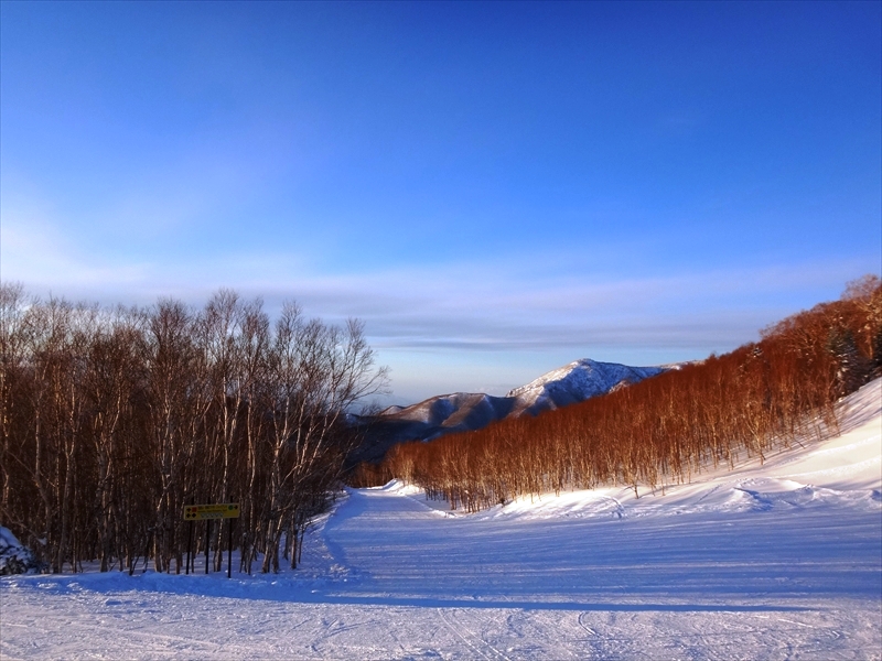 DSC09753_R