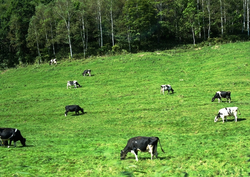DSC00164_R