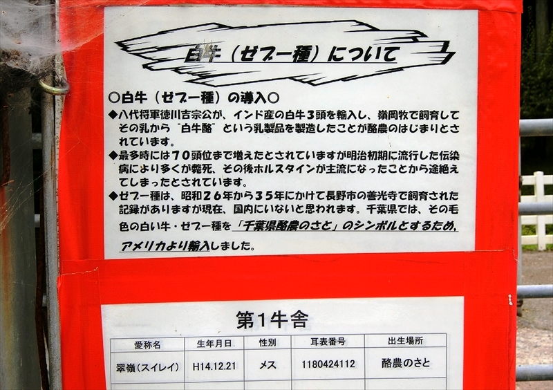 CIMG0713_R