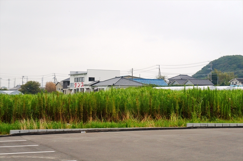 DSC07731_R