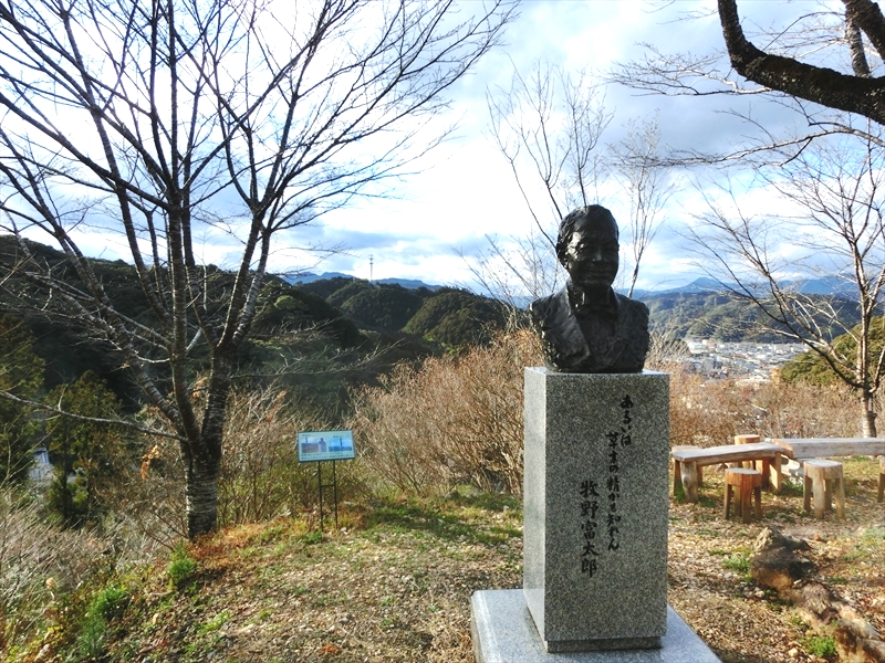 CIMG7563_R