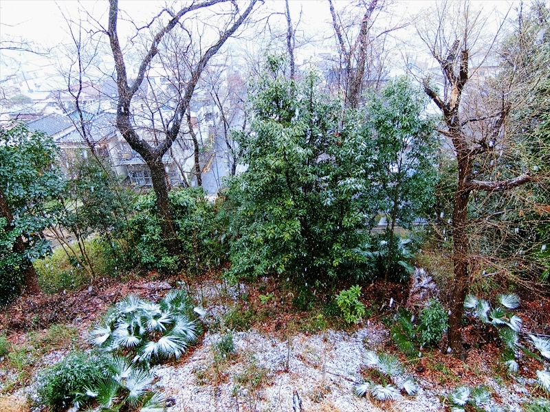CIMG2342_R