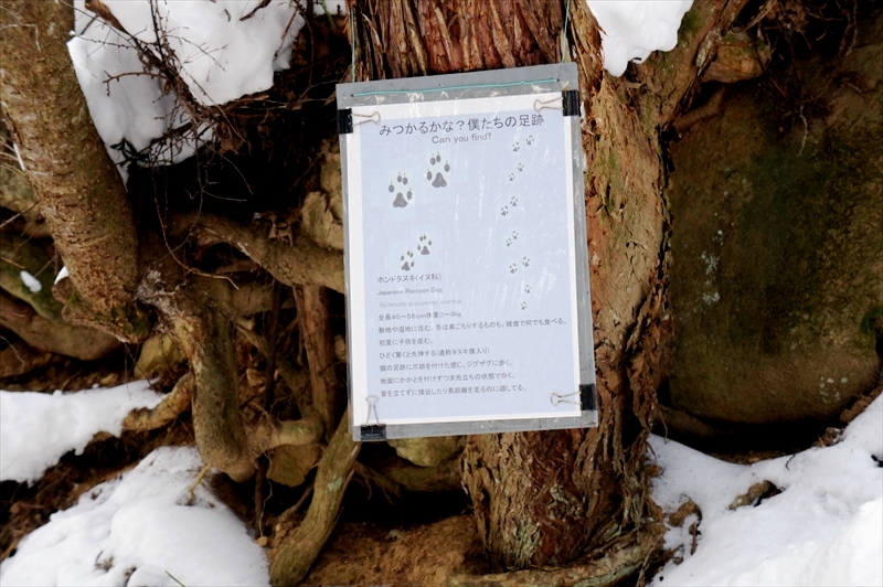 DSC01960_R