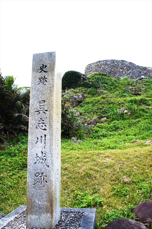 DSC02564_R