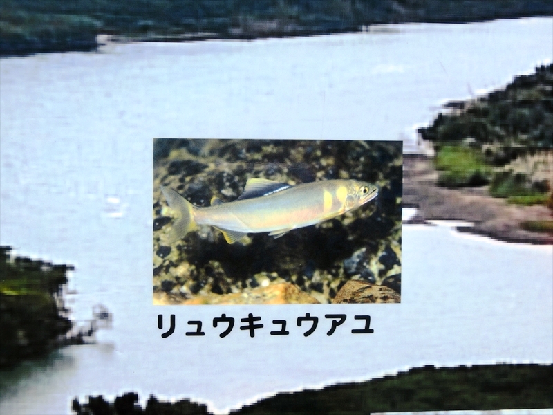 CIMG8871_R