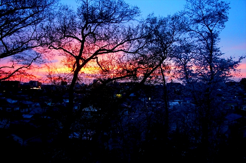 DSC00910_R