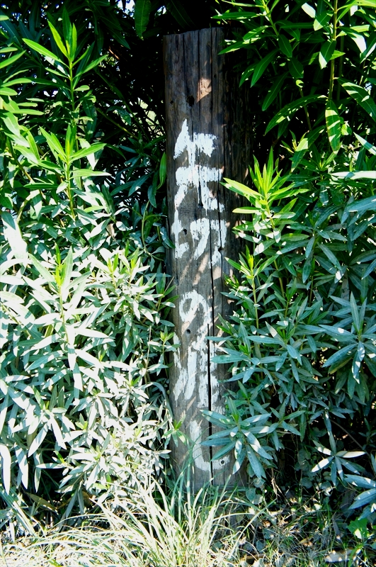 DSC00036_R