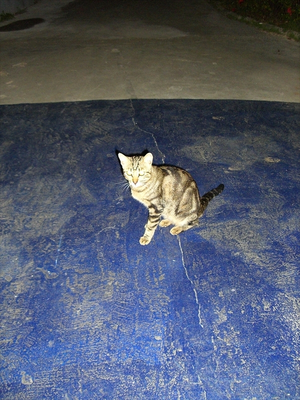 CIMG4382_R