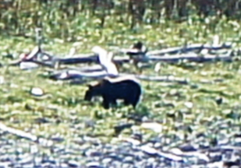 DSC00576_R