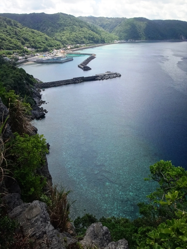 DSC01130_R