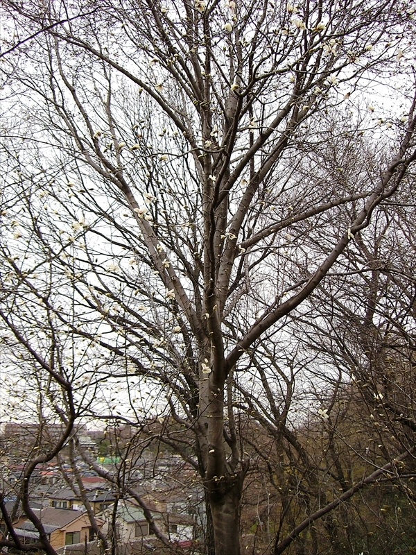 CIMG7642_R