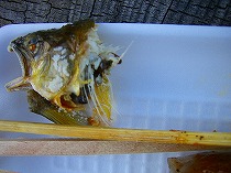 形相