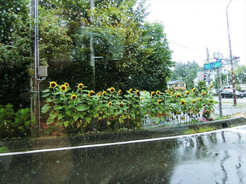CIMG1004_R