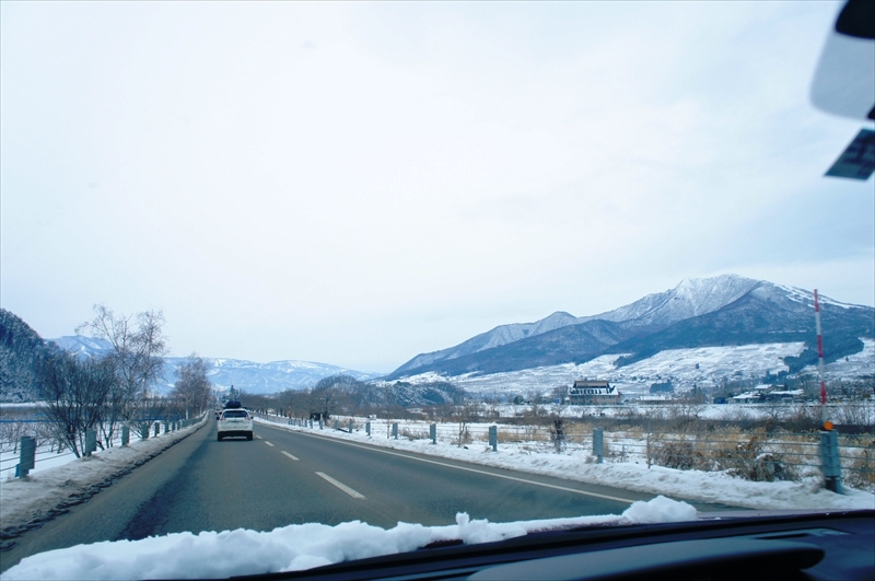 DSC00509_R