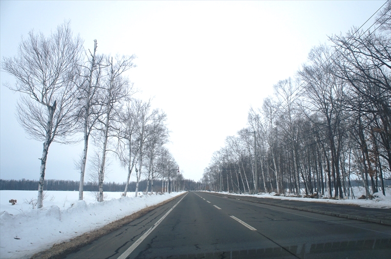 DSC00008_R