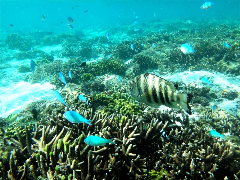 DSC09122_R