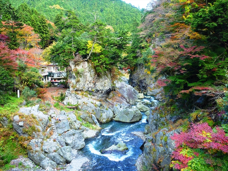 P1030543_R