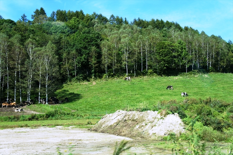 DSC00163_R
