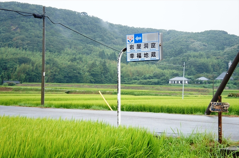 DSC04649_R