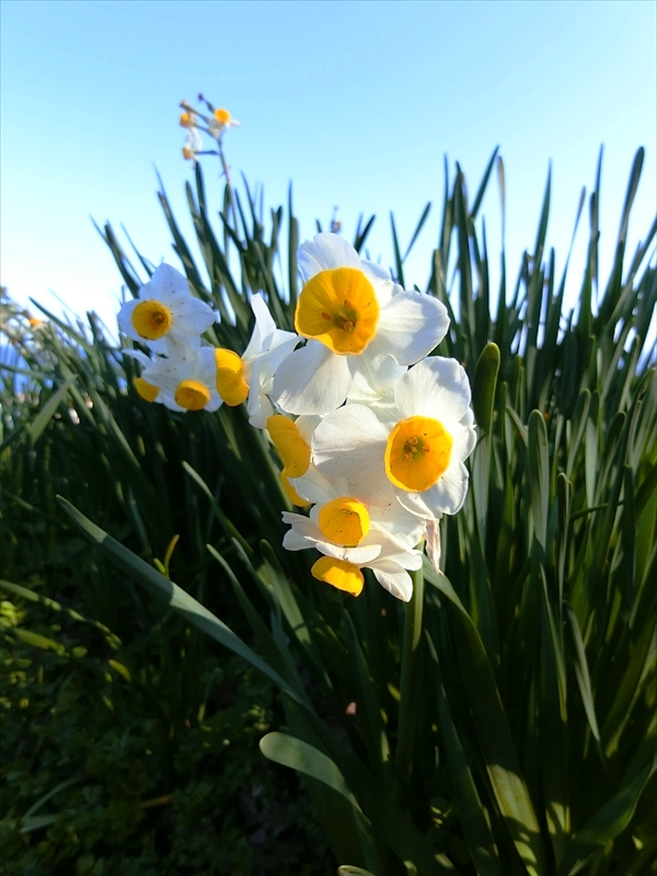CIMG7054_R