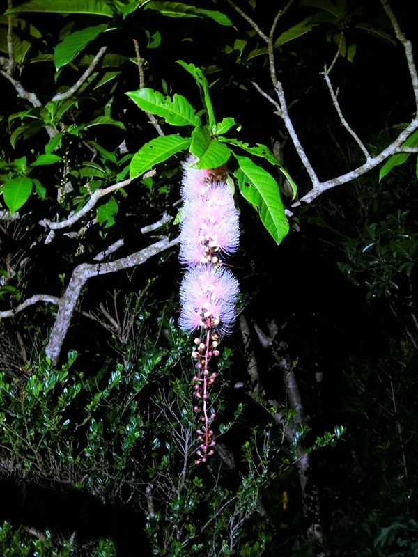 CIMG5284_R