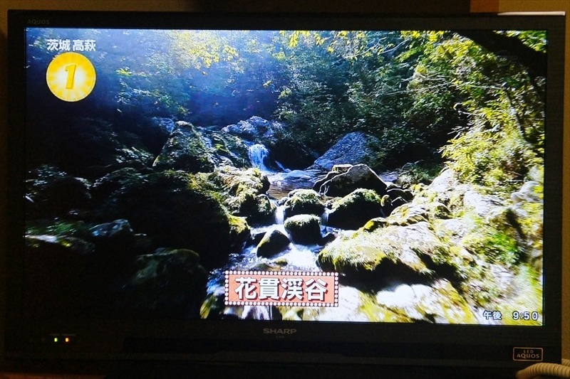 DSC01716_R