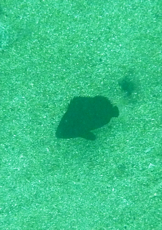 P1140709_R