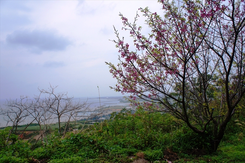 DSC03160_R