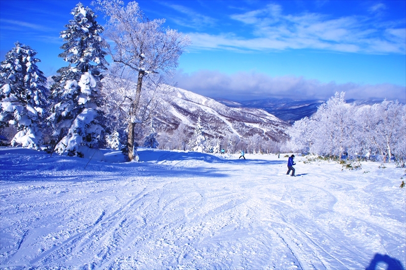 DSC00411_R