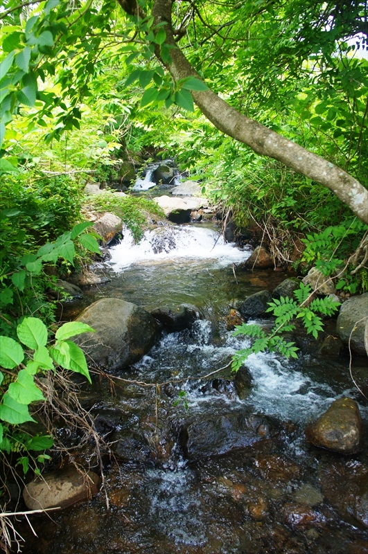 DSC00160_R