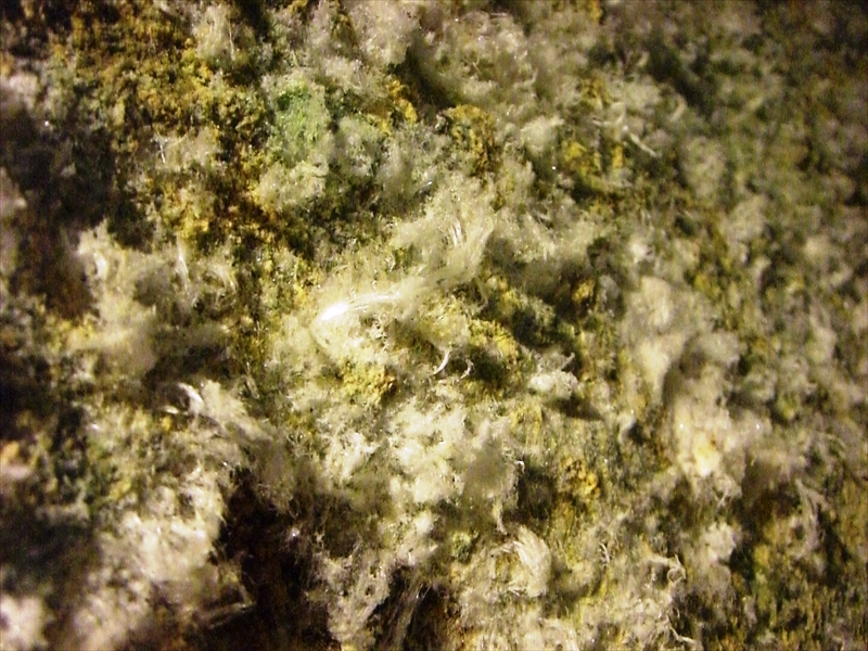 CIMG2618_R