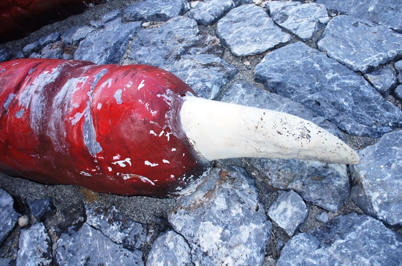 DSC00825_R