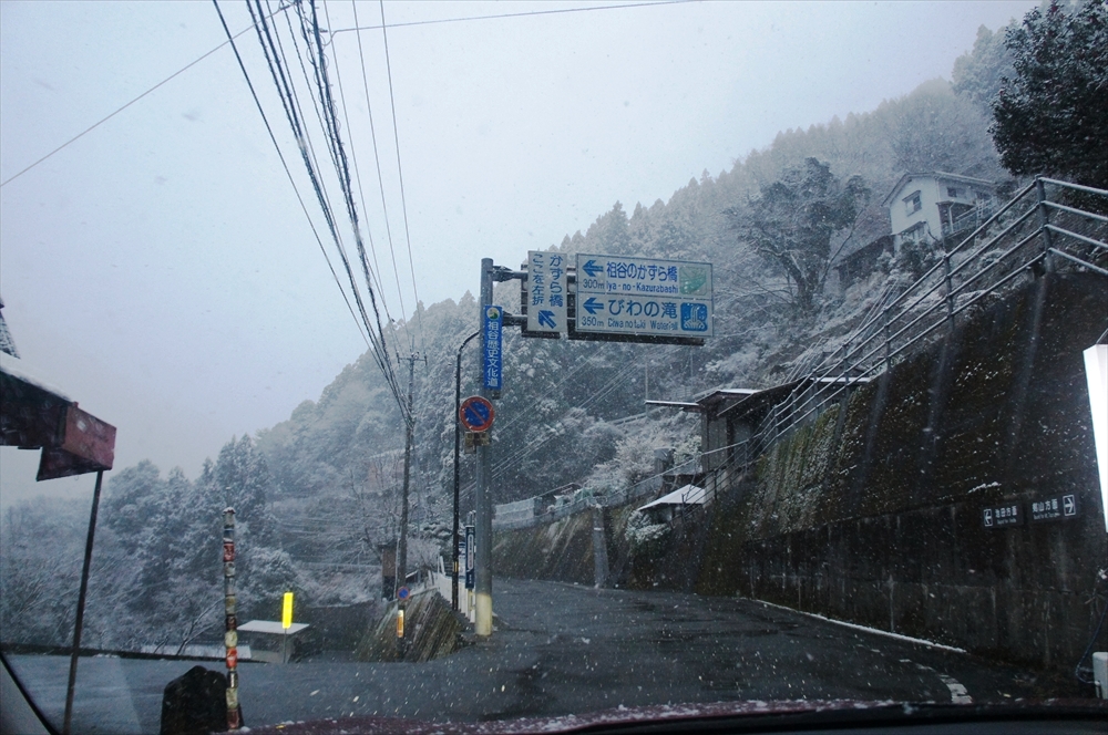 DSC01184_R