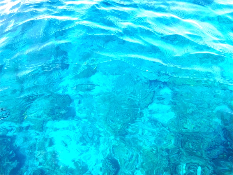DSC08692_R
