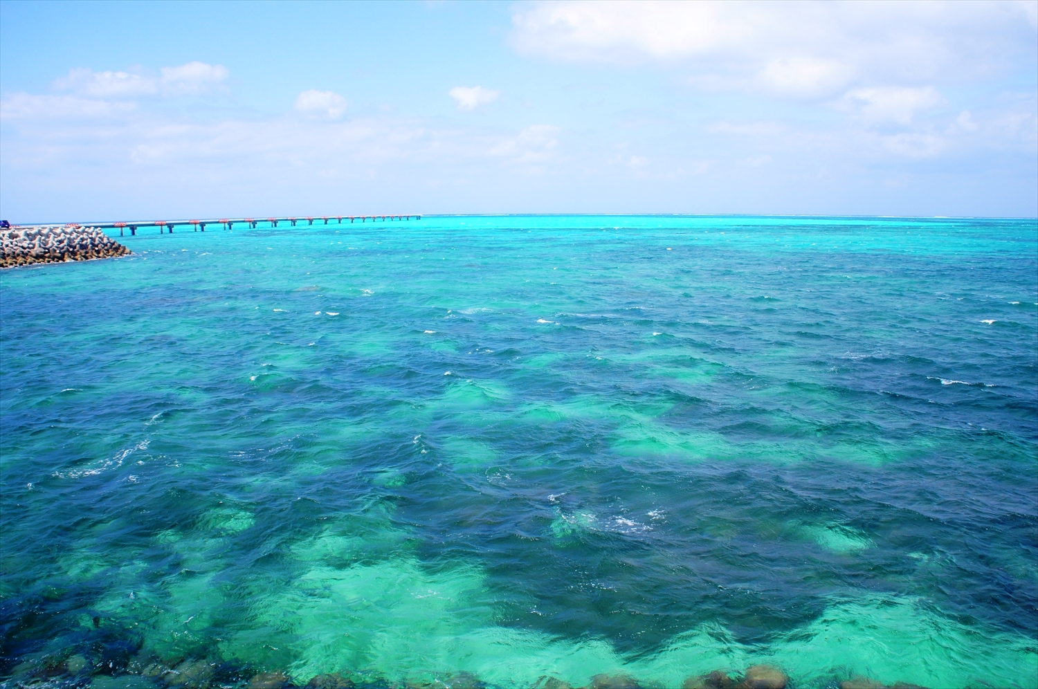 DSC00424_R