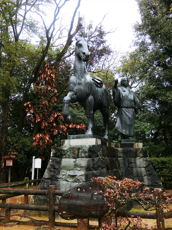 CIMG5132_R