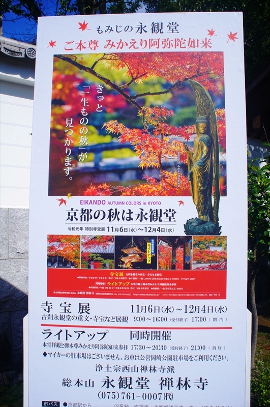 DSC00177_R