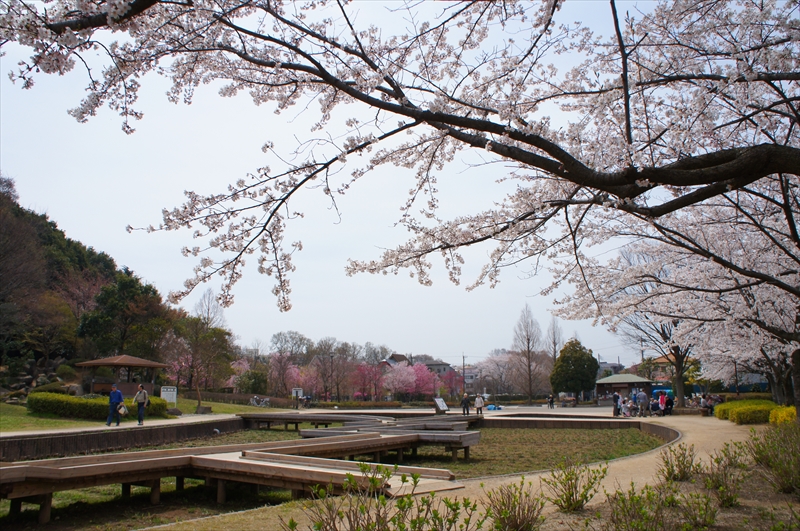 DSC03840_R