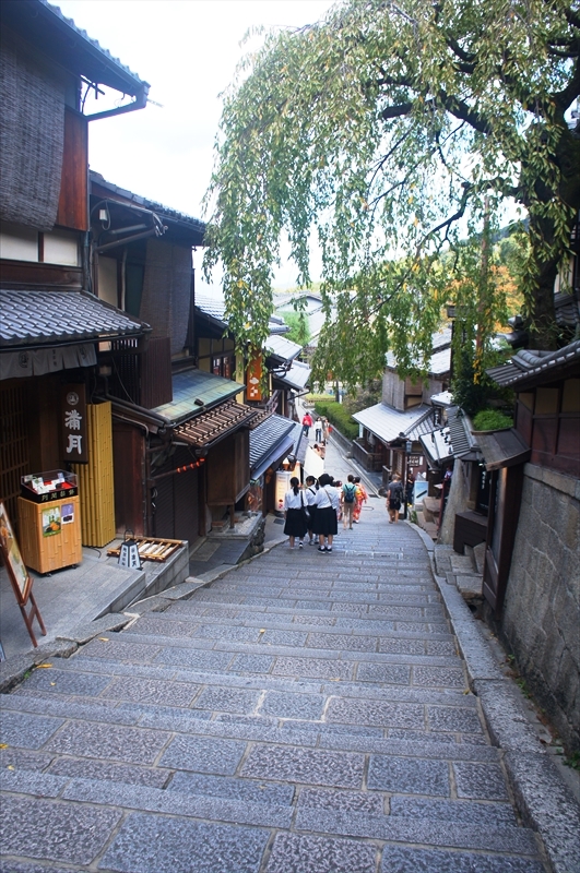 DSC00095_R