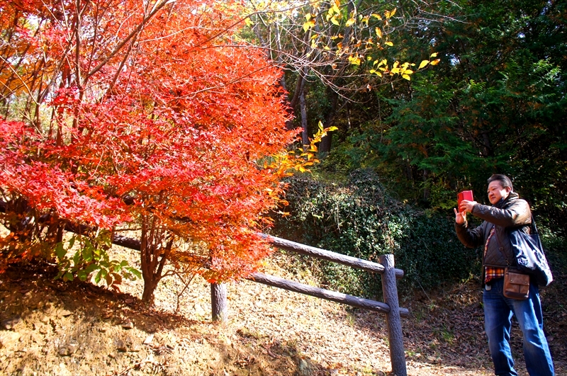 DSC01335_R