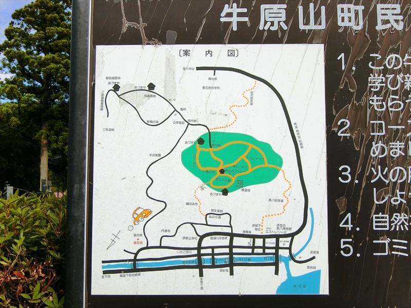 CIMG3166_R