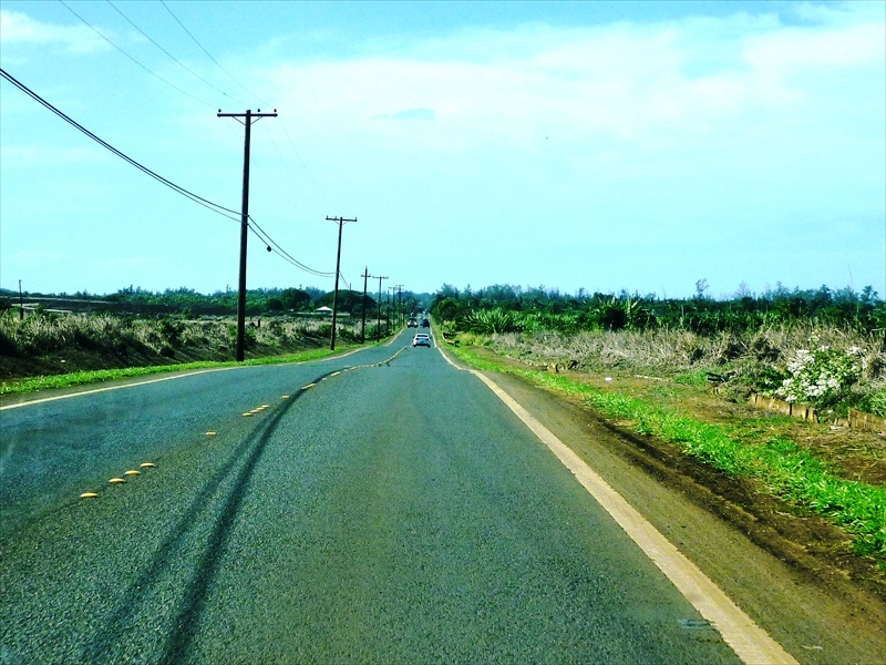 P1090260_R